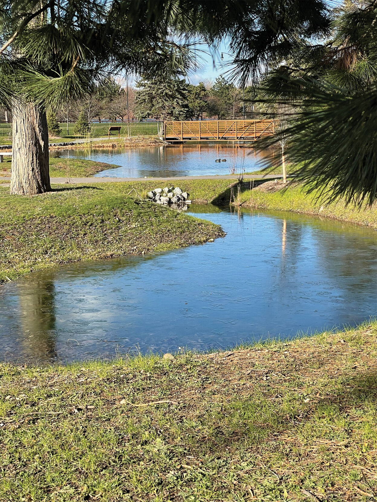 Upper Wetland Sanctuary at Forest Lawn